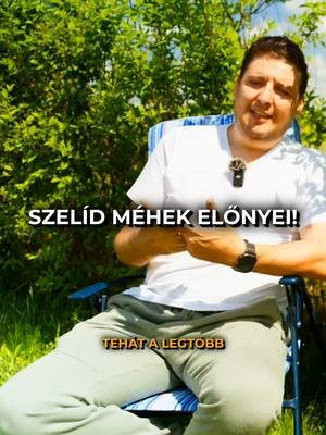 Miért Fontos a Szelíd Méhek Kiválasztása? 🐝 #méhészet #méhek #szelídség #rekordercsalád #méhészetiTippek #méztermelés #méhcsaládok #kiválasztás #termelékenység #méhekfejlesztése #precíziósméhészet #modernméhészet #méhekfejlődése #kaptárrendszer #méhészkedés #méhcsaláderőssége #méhtenyésztés #méhanyanevelés #méhészképzés