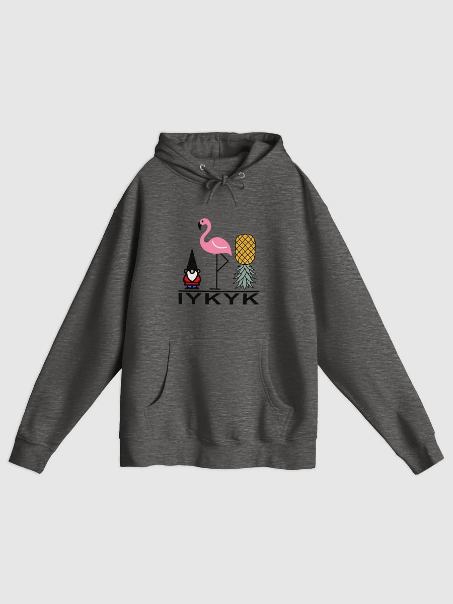 IYKYK Hooodie product image (3)