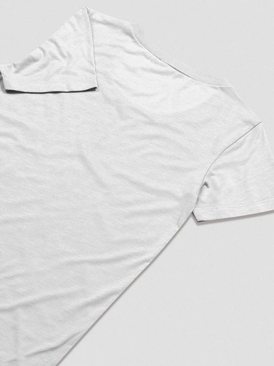 Vintage University T-Shirt (Women's Triblend) product image (7)