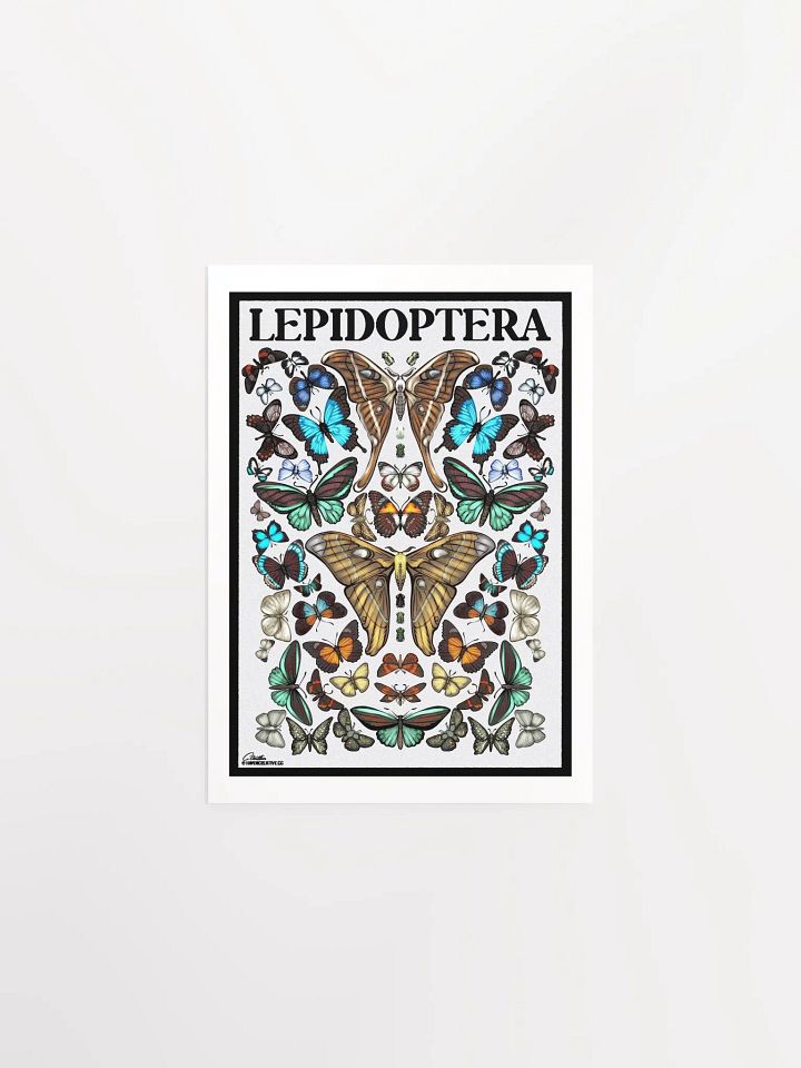 "Lepidoptera" Poster product image (1)