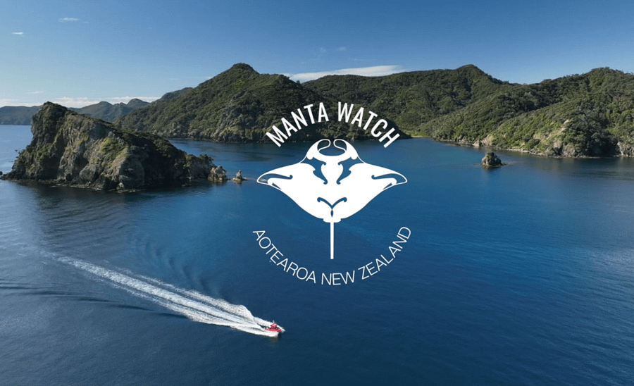 Manta Meditation Video product image (1)