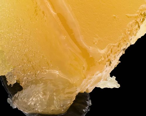 Close up of that Sundae Driver from @asomlabs 😍😍😍😍
◾◾◾◾◾
📸@toxic__drummer
#canonusa #oshiro60mm #canon #asomlabs #sundaedrive...