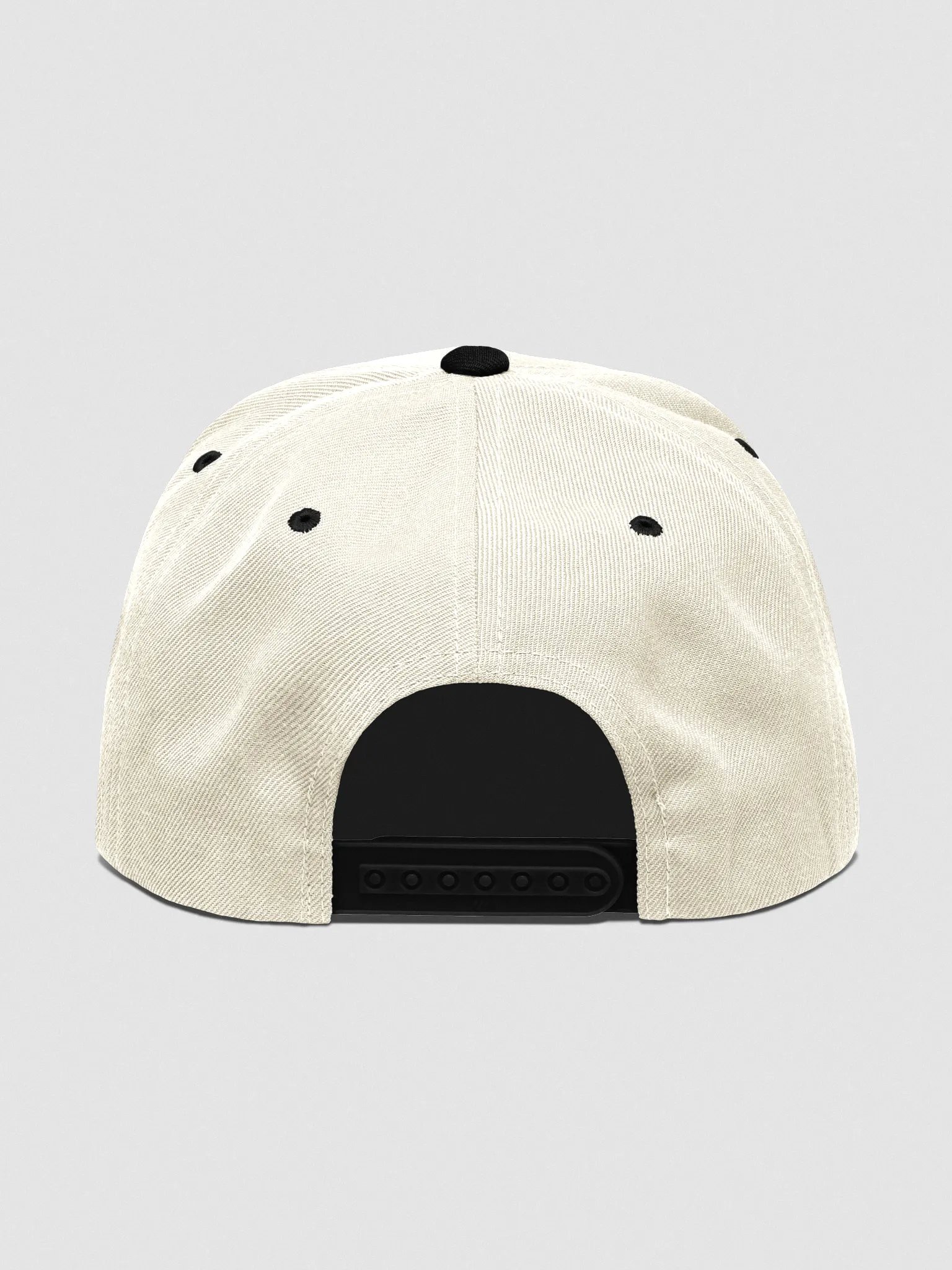 Pixmin Icon Snapback Cap product image (4)
