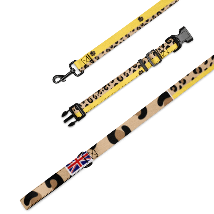 Patriotic Leopard and Paws Collar & Leash Set product image (1)