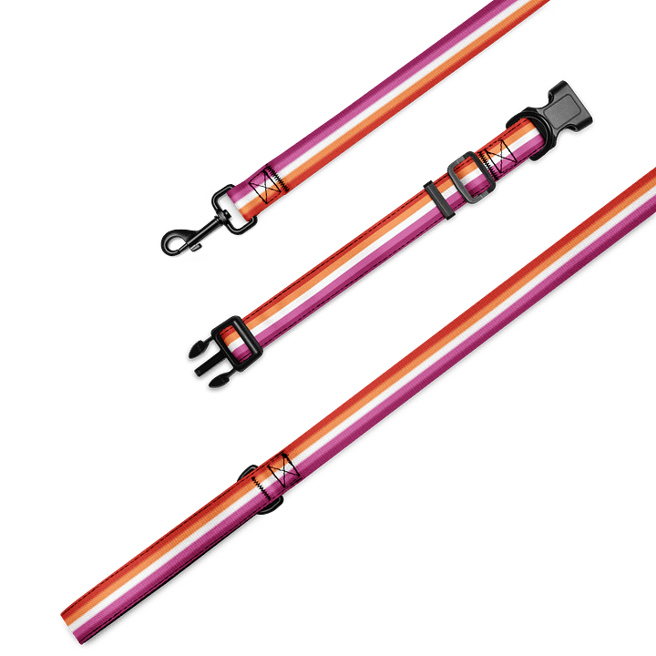 Lesbian Pride Flag Pet Collar & Leash product image (1)