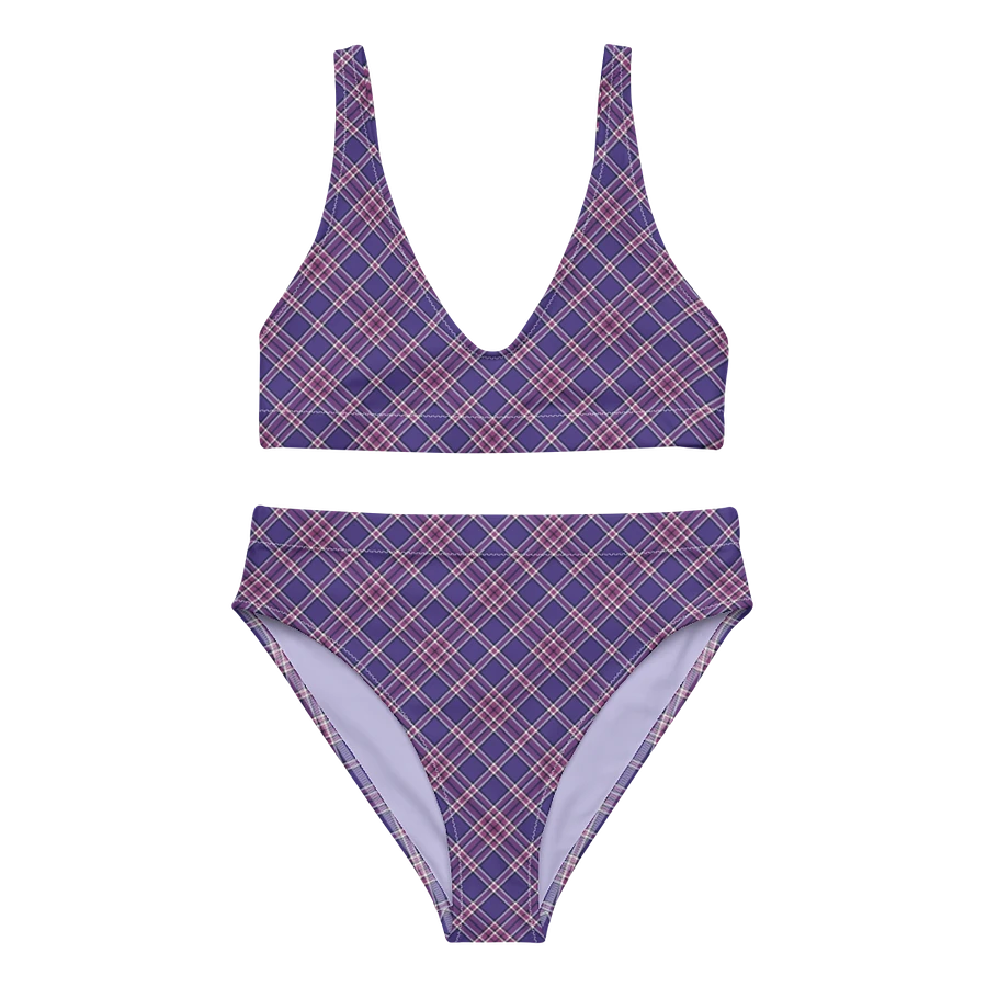 Purple Orchid and Violet Plaid Bikini product image (2)