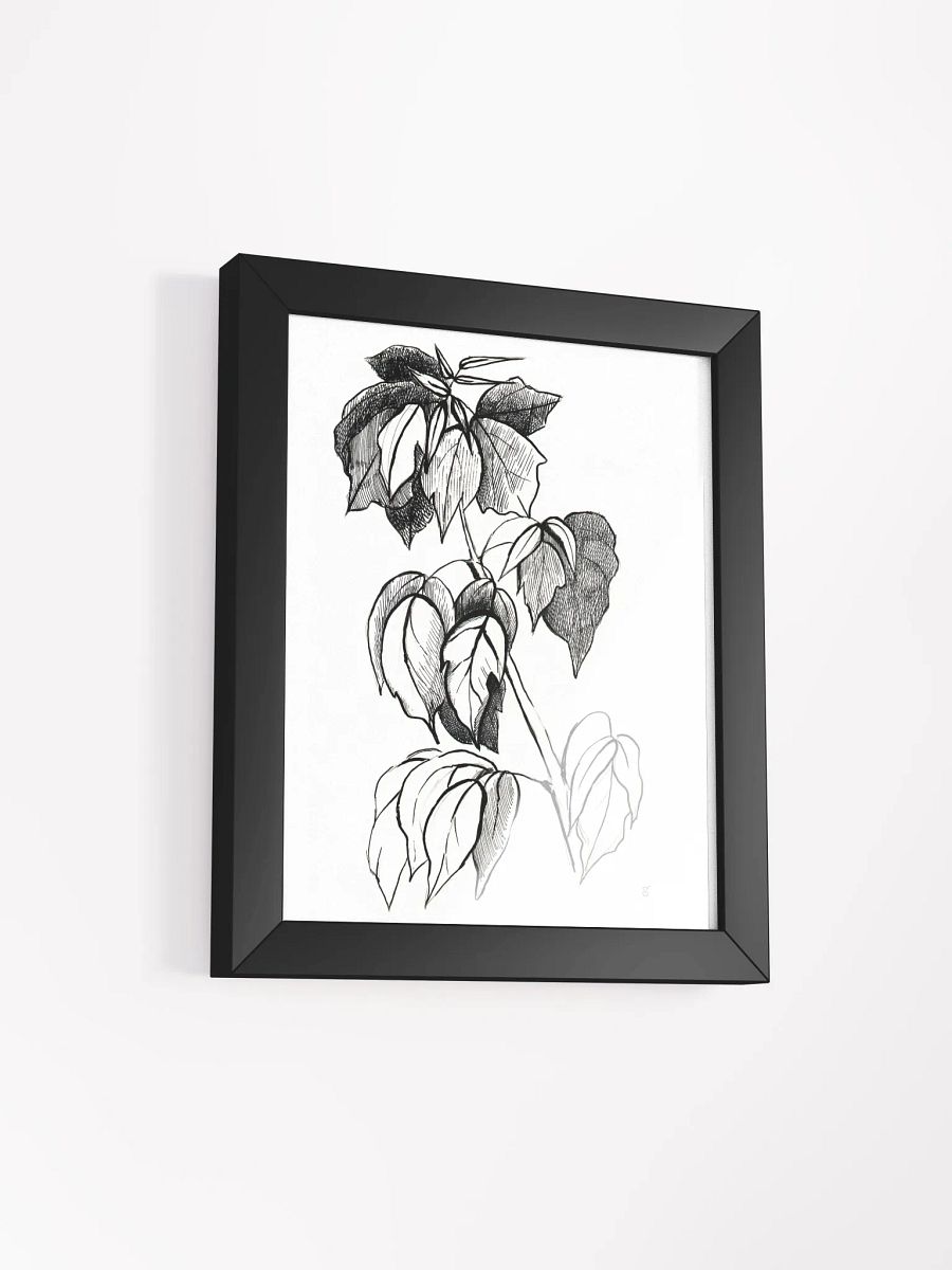 Botanical Sketch Framed Matte Poster - Stylish Graphical Twig product image (5)