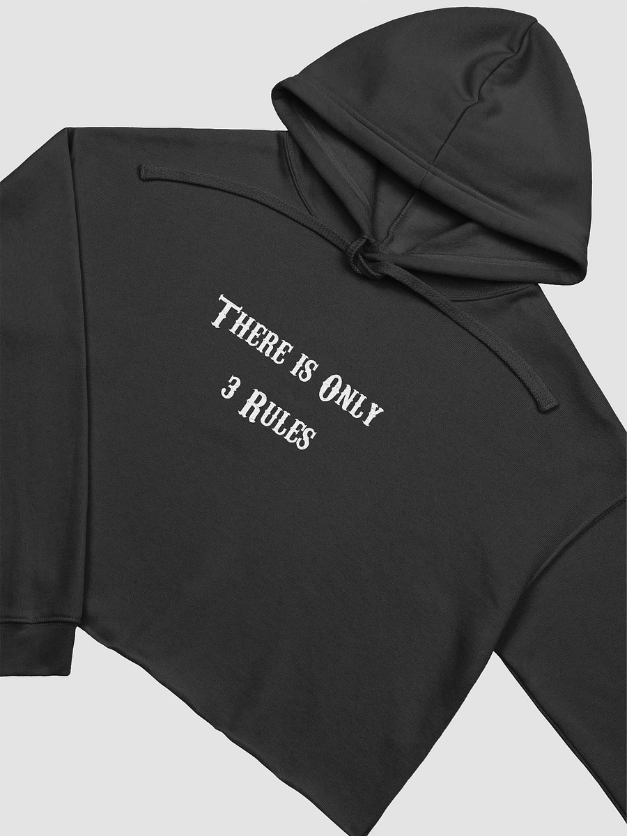 Jackson's Rules Cropped Hoodie product image (11)