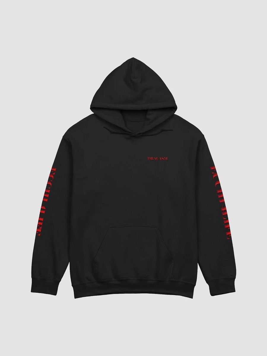 ECCHI 4LIFE HOODIE product image (2)