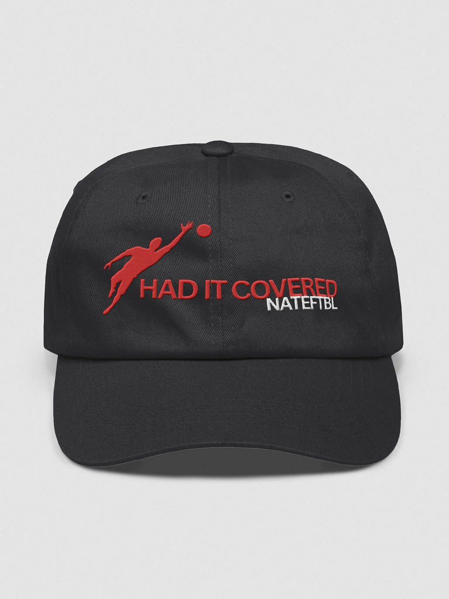 HAD IT COVERED HAT (EMBROIDERED) product image (1)
