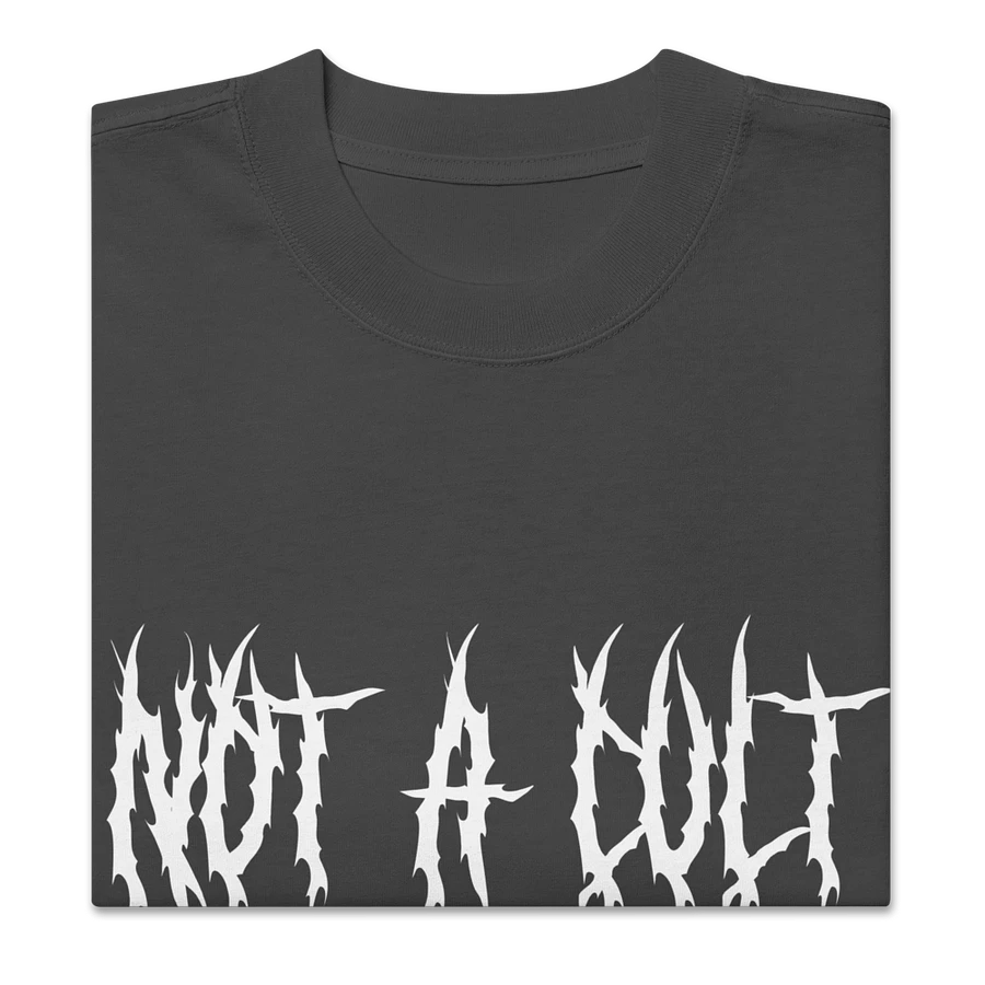 NOT A CULT TEE product image (4)