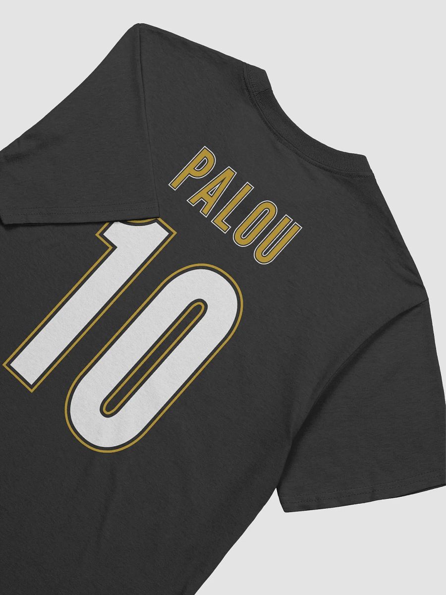2023 INDYCAR Champion T-Shirt product image (4)