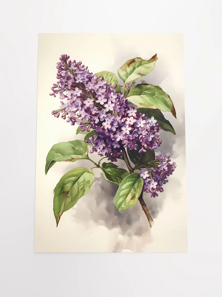 Springtime Lilac Bloom Poster: Classic Botanical Art for Nature-Inspired Decor Matte Poster product image (3)