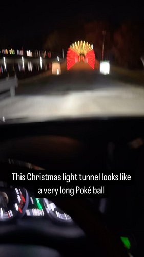 Tell me if this doesn’t look like a a Poké ball