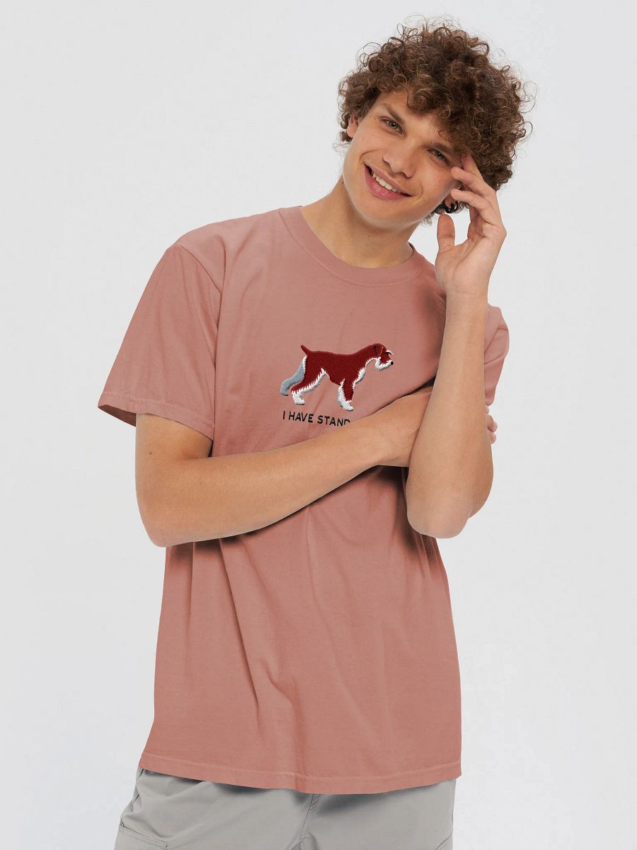 I Have Standards T-Shirt(Embroidered) of a Standard Schnauzer(Chocolate) product image (21)