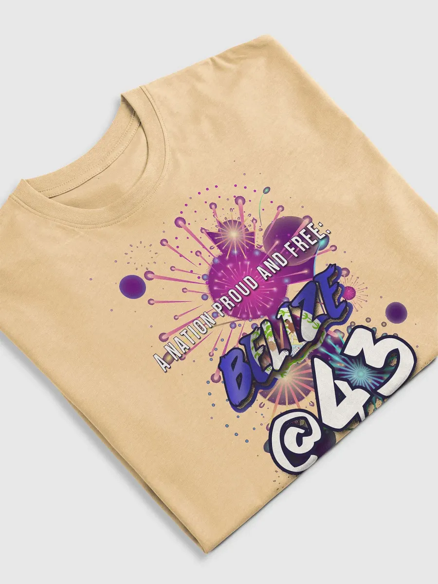 September Celebration T-Shirt (Inside Flag Design) product image (5)