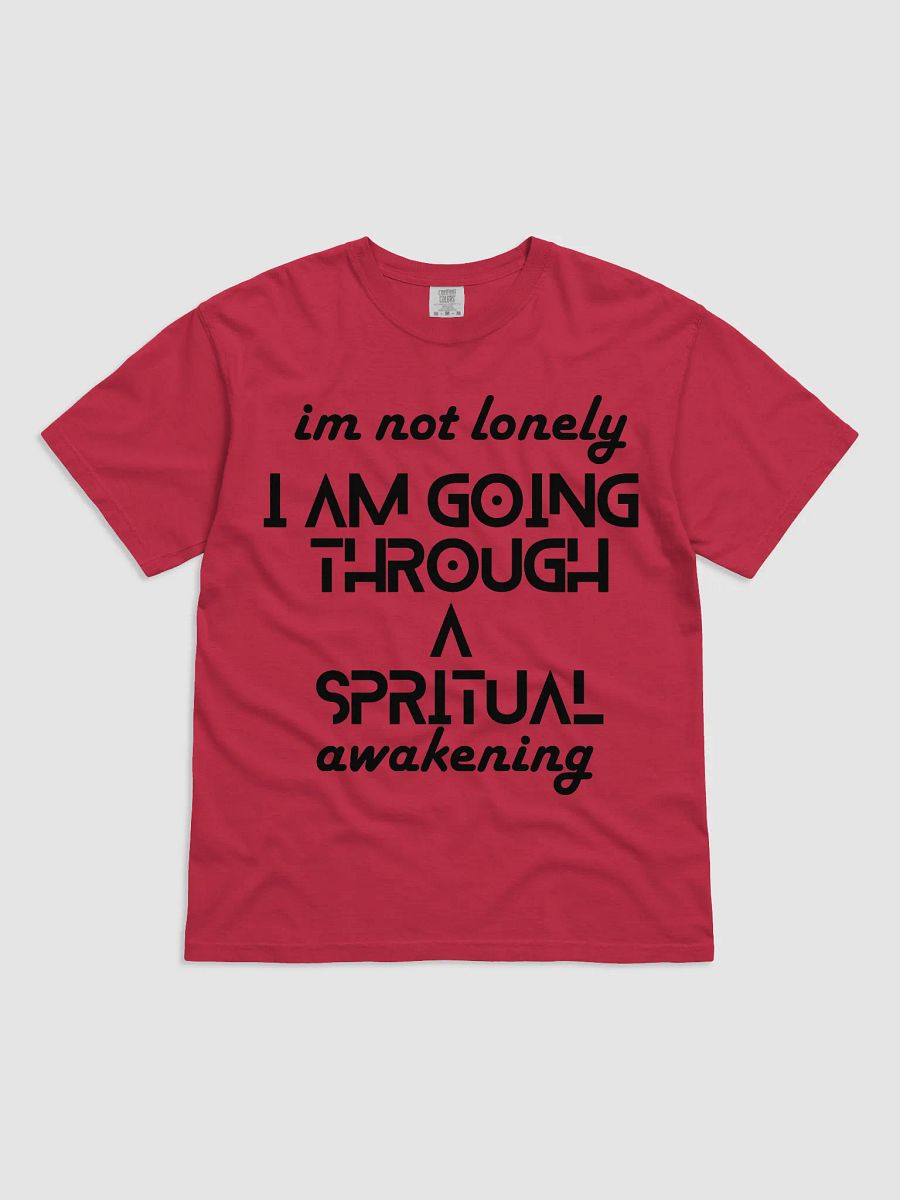 I'm Not Lonely I Am Going Through a Spiritual Awakening Tee – Spiritual Journey Shirt, Healing Vibes T-Shirt, Mindfulness Gift, Unisex Shirt for Men & Women, Holiday Present product image (2)