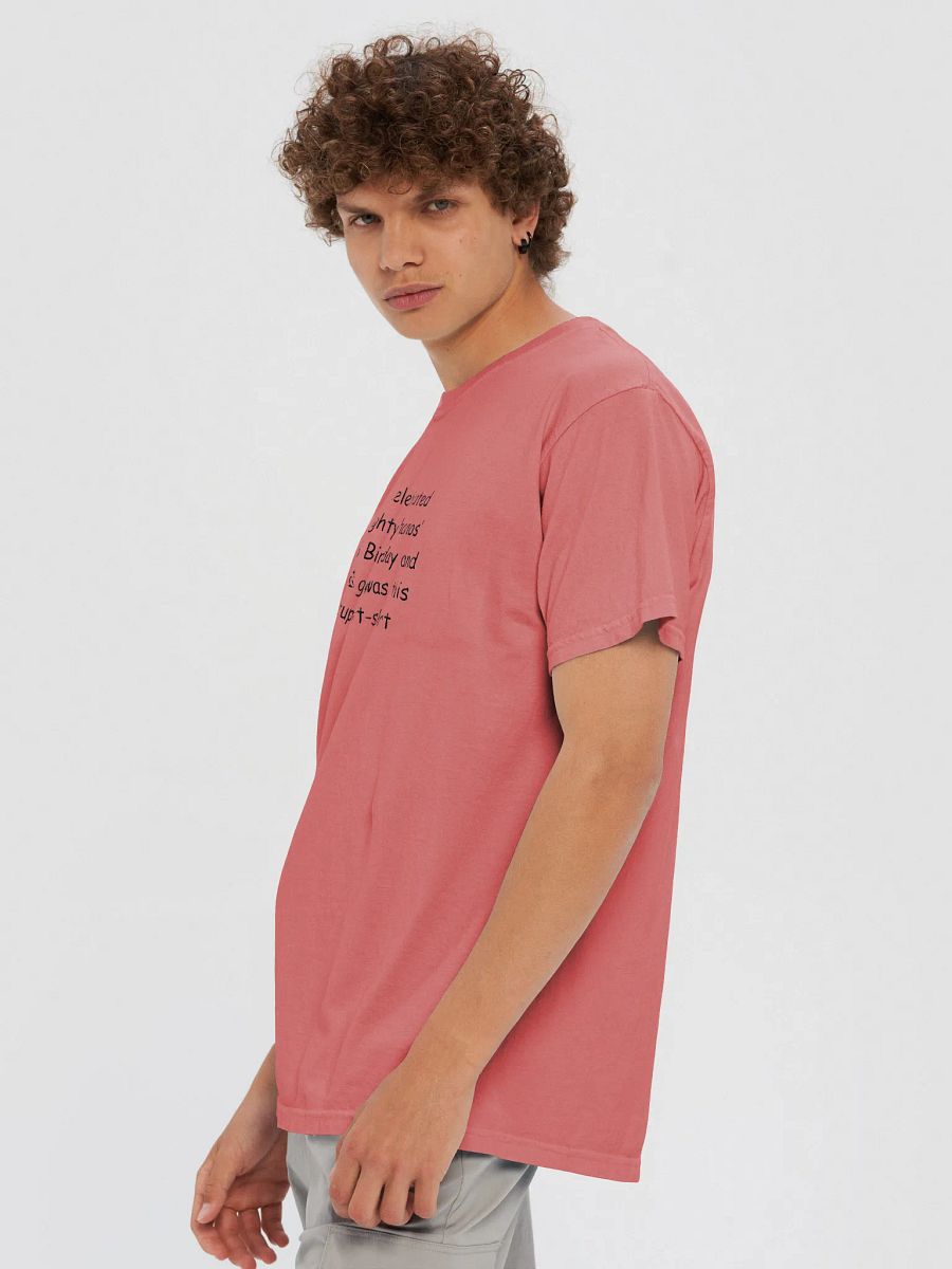 Birthday t-shirt (light) product image (6)