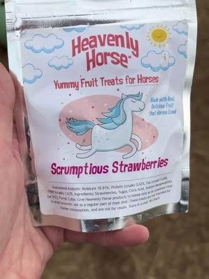 Taste Test Heavenly Horse Strawberry treats #horsetreats #horsetastetest #horsesoftiktok #equestrian #horse #equine #tastetest 