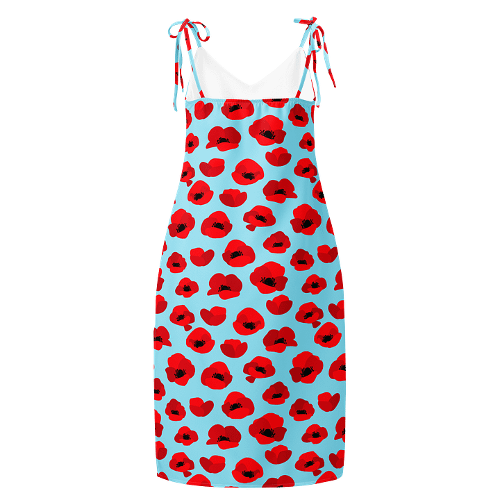 Sky Blue & Red Poppy Slip Dress product image (2)