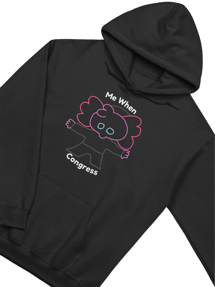 Goober Congress | Unisex Hoodie product image (2)