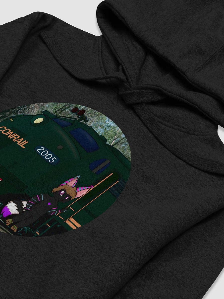Bruin Kitty Conrail Hoodie product image (3)