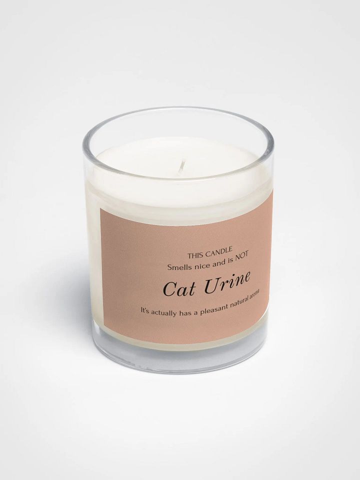 Veterinary humor candle "Cat Urine" product image (2)