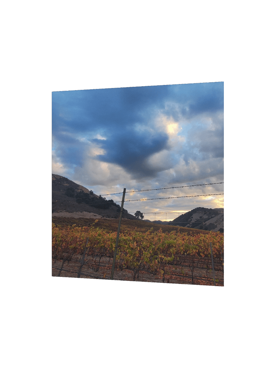 Vineyard Horizon Matte Poster product image (9)