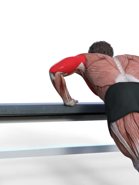 Incline Push-Ups product image (2)