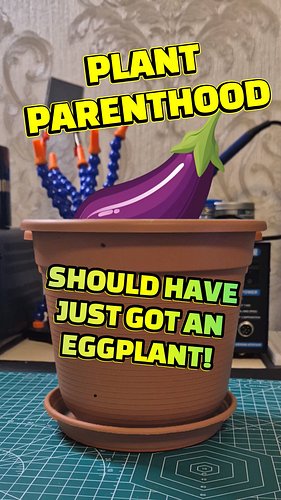 Plant Parenthood: Would an Eggplant Be Better? 🍆 #plants #plantbased #plantsofinstagram #arduino