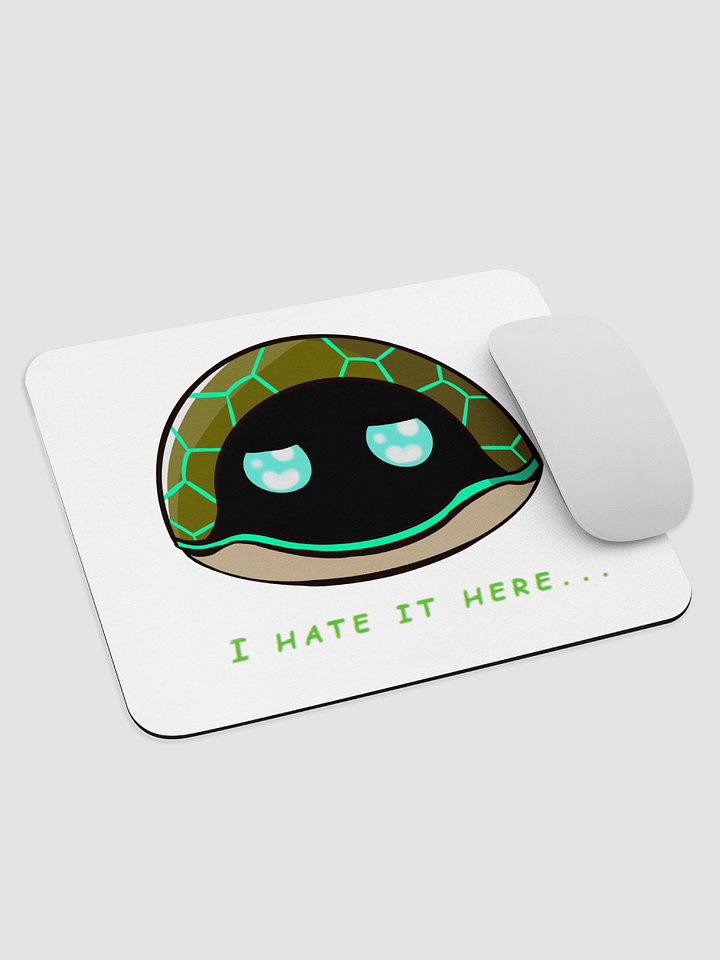 Chrispy_turtle 