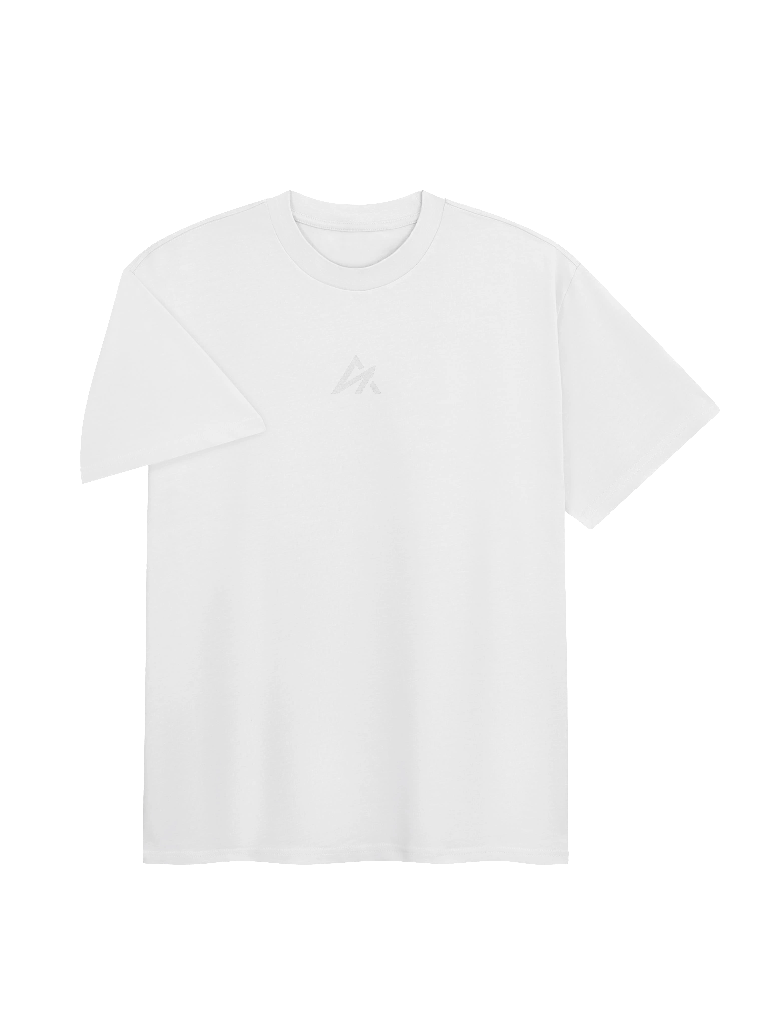 Ascend Bodybuilding Heavyweight Tee product image (8)