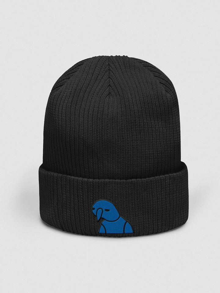 BruhSki Ribbed Beanie product image (1)