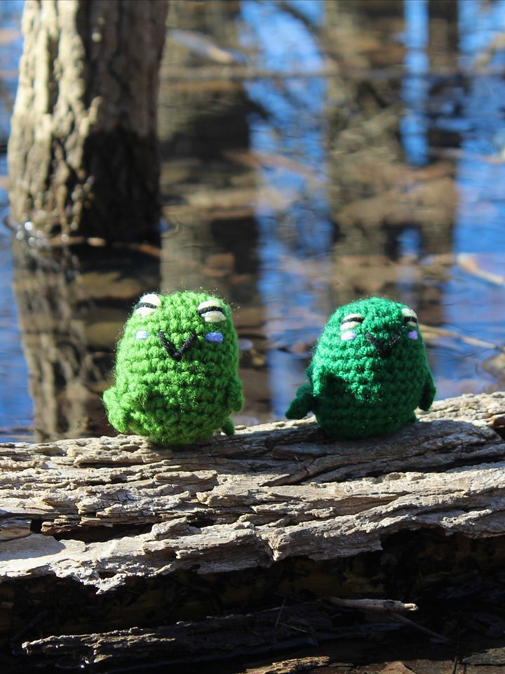Frog Friend product image (1)