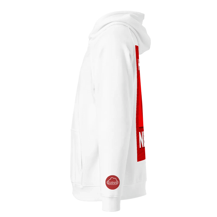 HA9N Official Premium Embroidered And DTG Printed Hoodie product image (3)