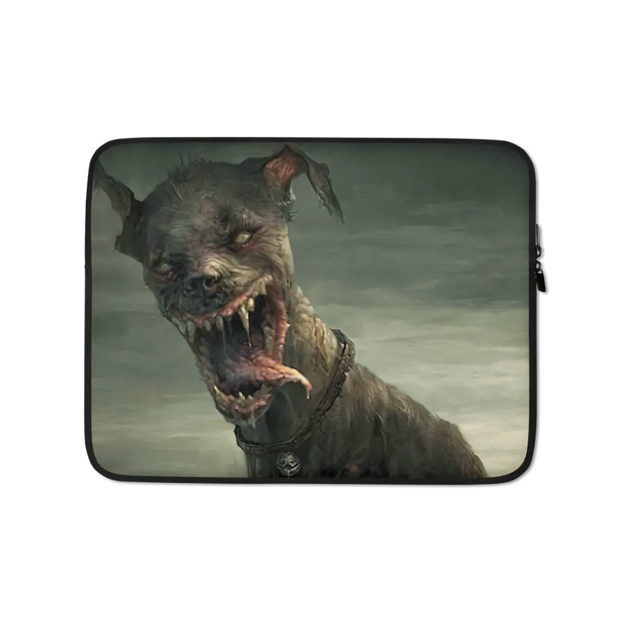 Laptop Case 