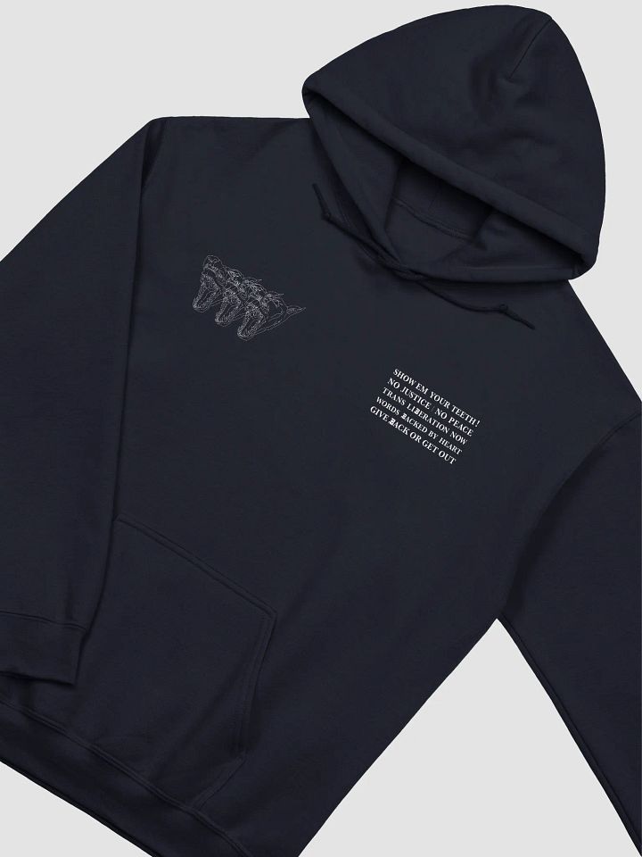 S.E.Y.T. hoodie product image (2)