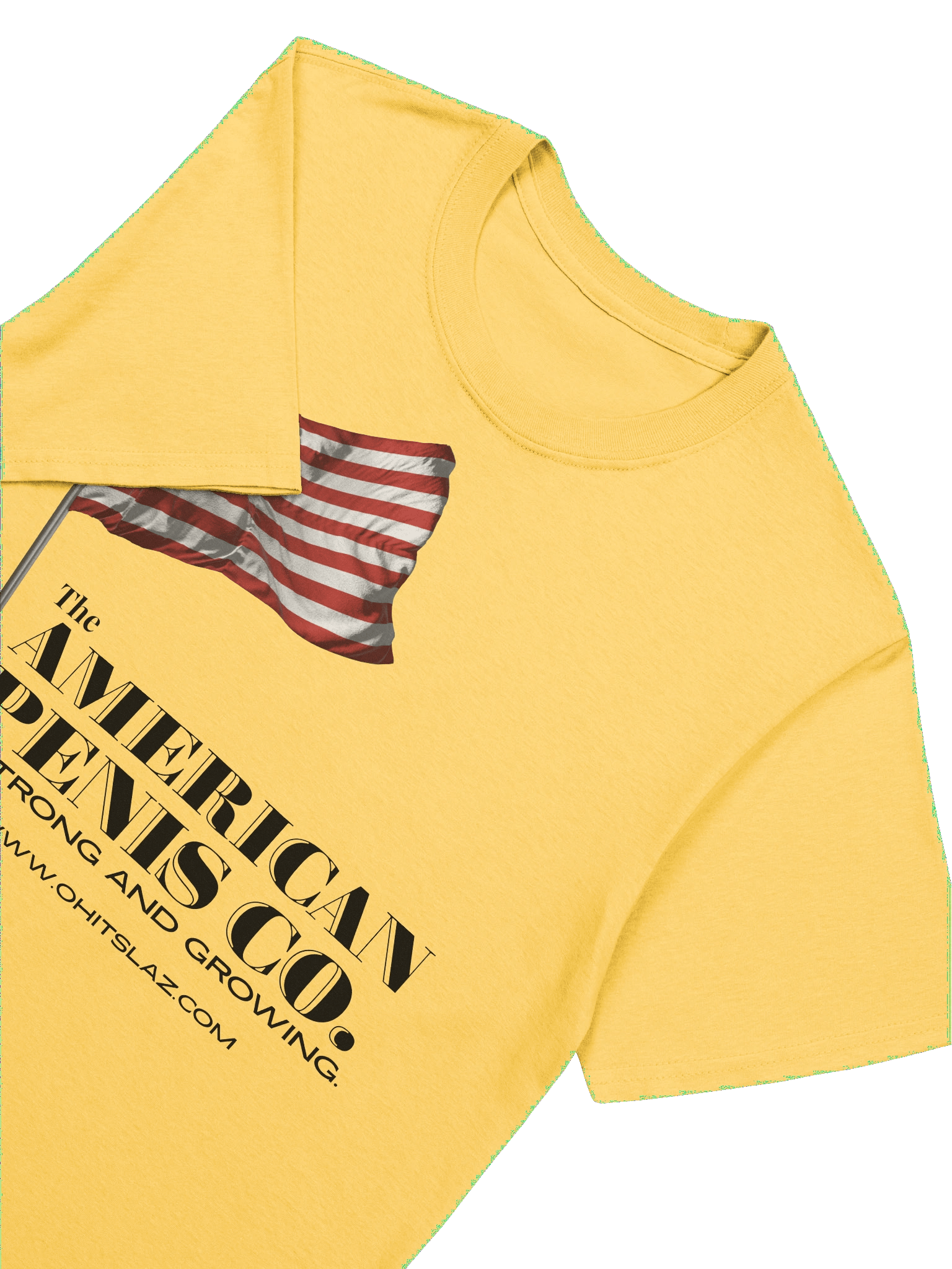 American Pns Co. product image (1)