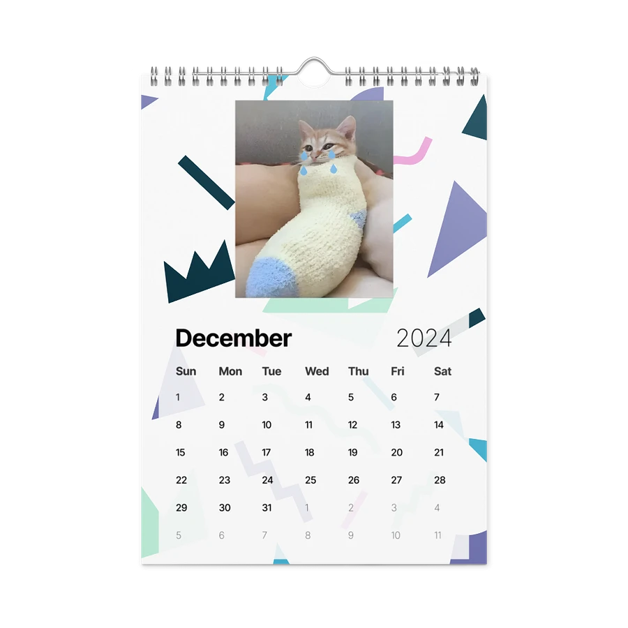 Wall Calendar (2024): Meme Cats product image (6)