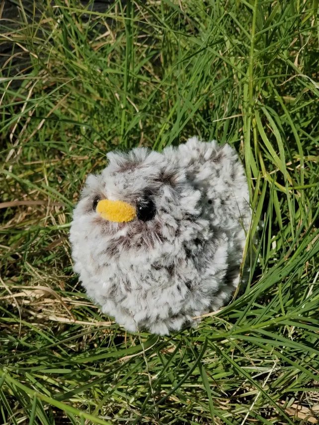 Fluffy Chicken product image (1)