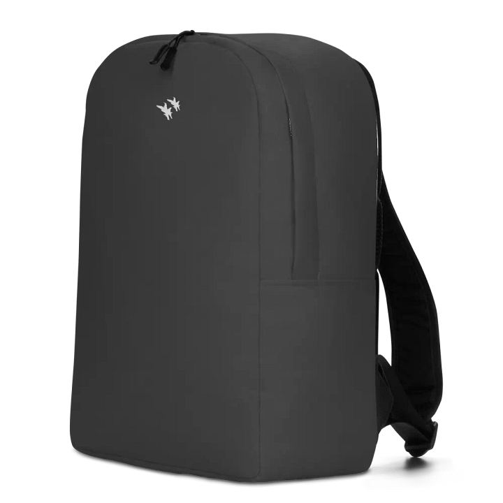 Twin Hornets Logo Backpack, Gray product image (1)
