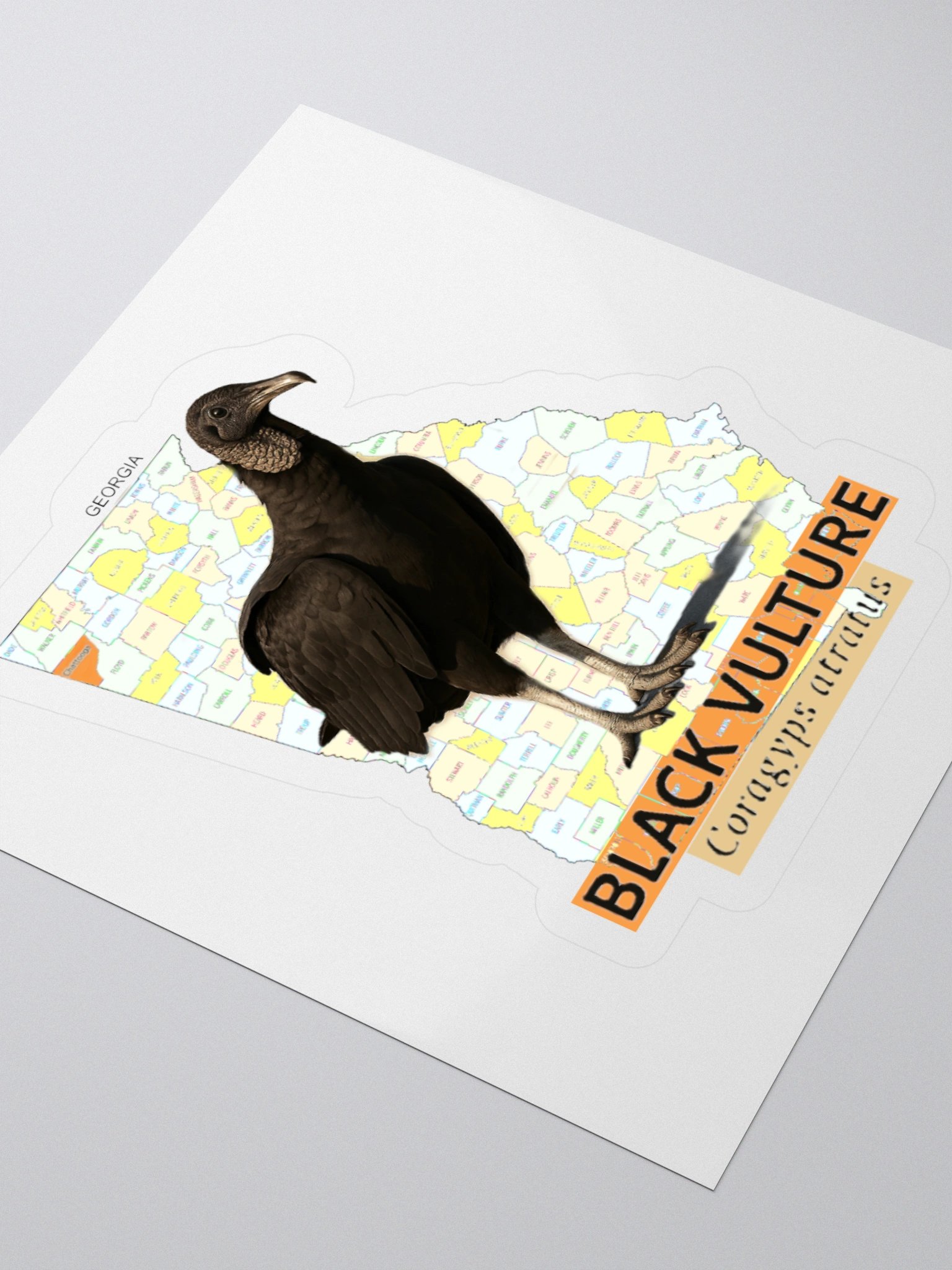 Georgia Black Vulture Map Sticker product image (12)