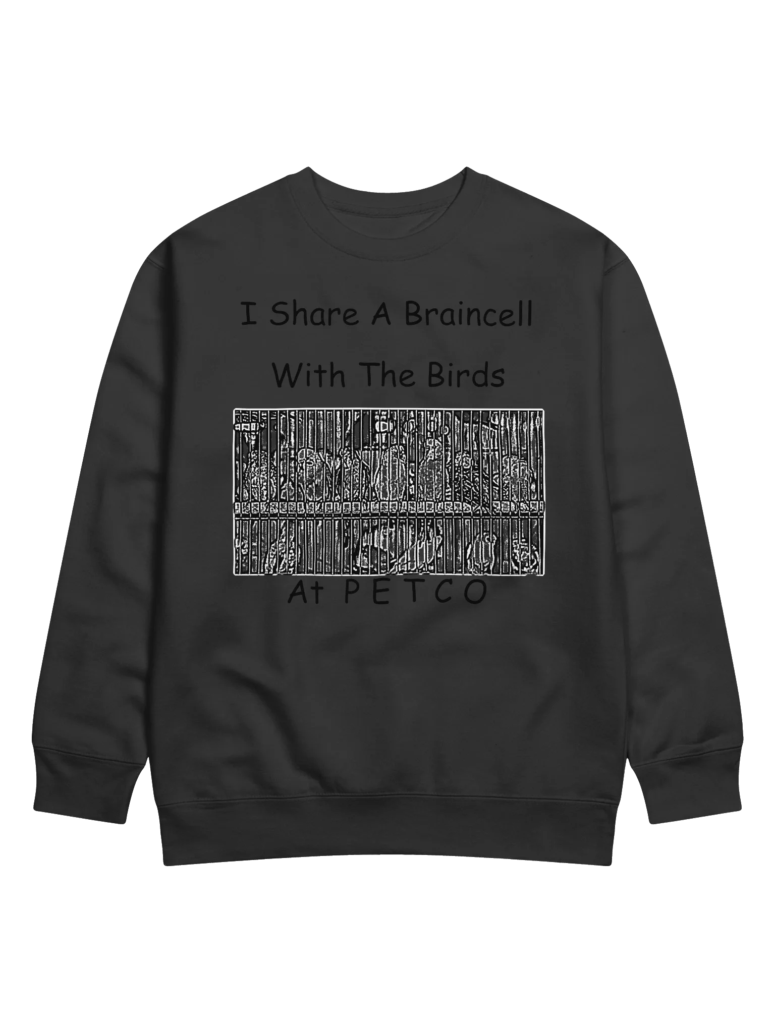 Bird Brains product image (1)