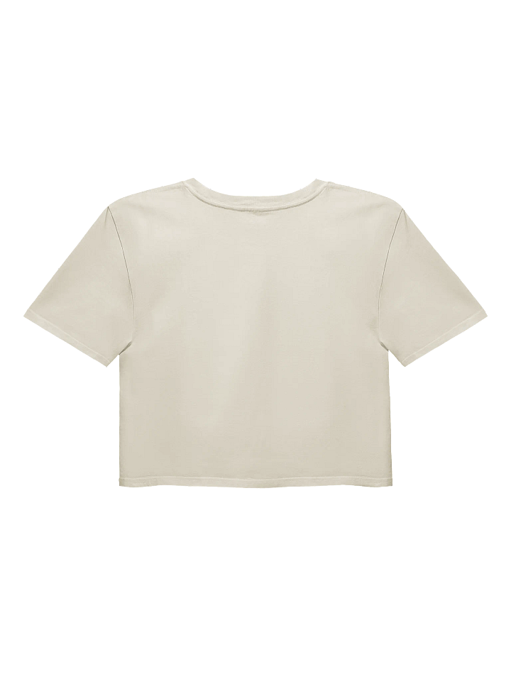 Stuck In This Paradigm Saturn Women's Crop Top product image (2)
