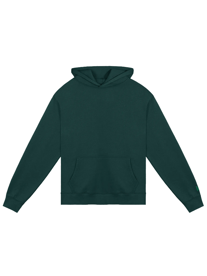 Unisex Premium Oversized Hoodie (Green) product image (1)