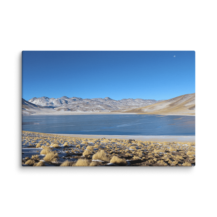 Miñiques Laguna - Atacama Desert, Chile product image (1)