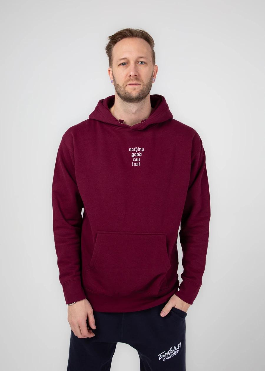 Nothing Good Can Last - Hoodie product image (15)