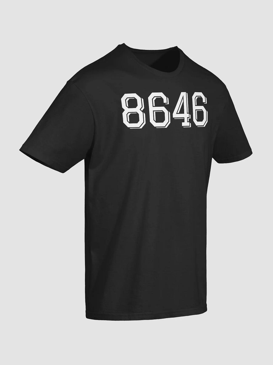 8646 Shirt product image (3)