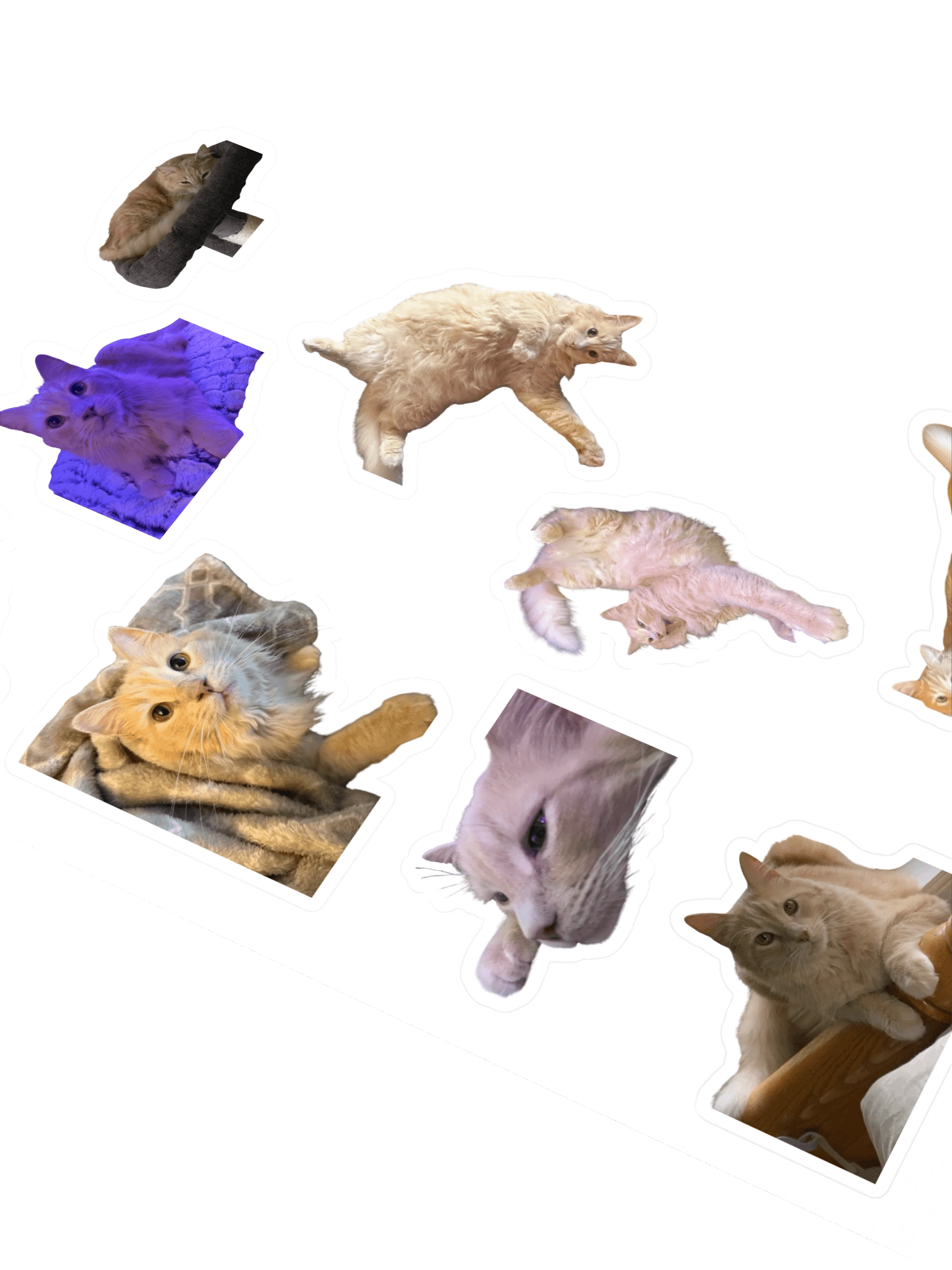 Noodle Sticker Sheet product image (2)