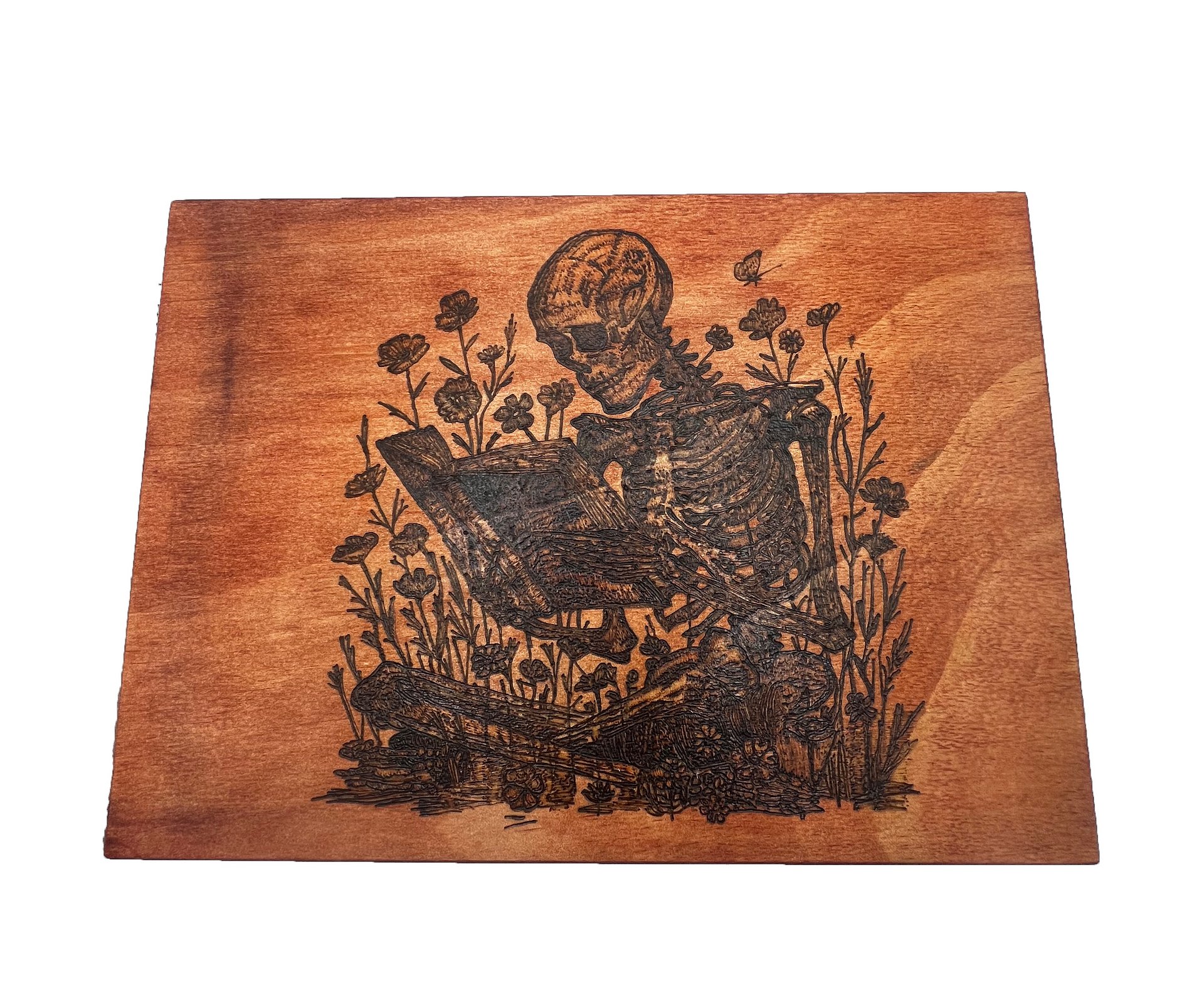 Curiosity In This Economy product image (1)